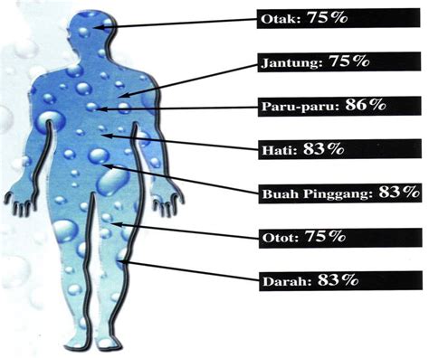 5 Rahasia Alami Bikin Kulit Putih Merona dalam 2 Minggu! 🤫✨ 5 Rahasia Alami Bikin Kulit Putih Merona dalam 2 Minggu! 🤫✨