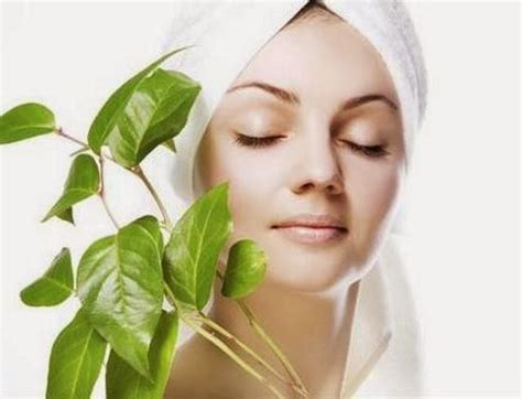 7 Cara Merawat Wajah untuk Remaja yang Ampuh dan Alaminesia, Dijamin Bebas Jerawat dalam 1 Minggu! 7 Cara Merawat Wajah untuk Remaja yang Ampuh dan Alaminesia, Dijamin Bebas Jerawat dalam 1 Minggu!