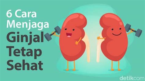 7 Jurus Ampuh Menjaga Ginjal Sehat: Nomor 5 Bikin Kaget!