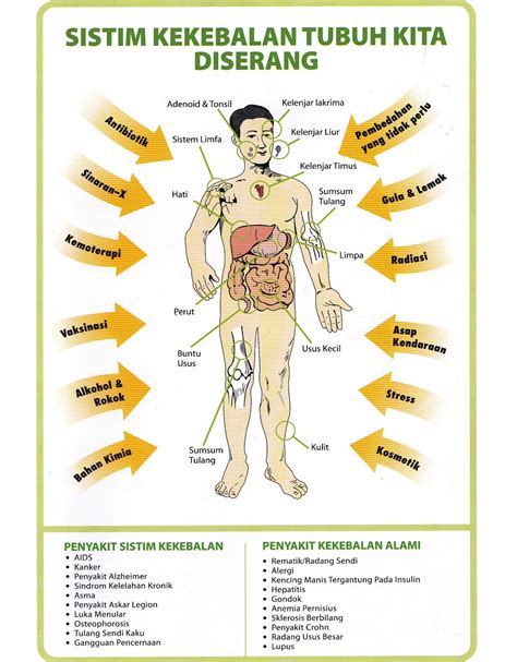 7 Jurus Sakti Menyehatkan Tubuh: Bye-Bye Penyakit Kronis! 7 Jurus Sakti Menyehatkan Tubuh: Bye-Bye Penyakit Kronis!