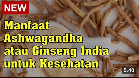 7 Jurus Sakti Menyehatkan Tubuh: Bye-Bye Penyakit Kronis!