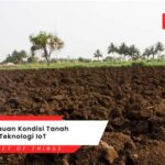 7 Cara Mudah Perawatan Naavagreen untuk Menghasilkan Tanaman yang Sehat dan Rimbun dalam 30 Hari!