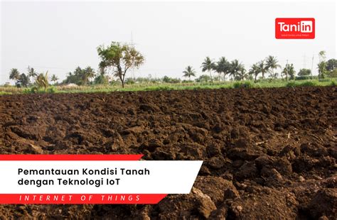7 Cara Mudah Perawatan Naavagreen untuk Menghasilkan Tanaman yang Sehat dan Rimbun dalam 30 Hari!