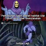 7 Fakta Mencengangkan Tiuwoo yang Bikin Kamu Melongo!