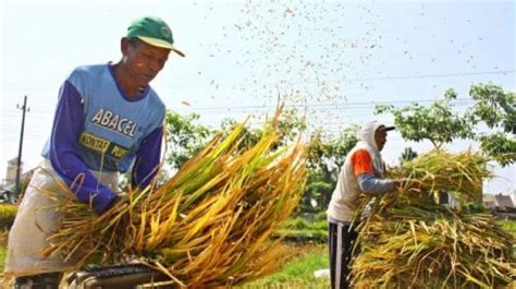 7 Fakta Mencengangkan Tiuwoo yang Bikin Kamu Melongo! 7 Fakta Mencengangkan Tiuwoo yang Bikin Kamu Melongo!